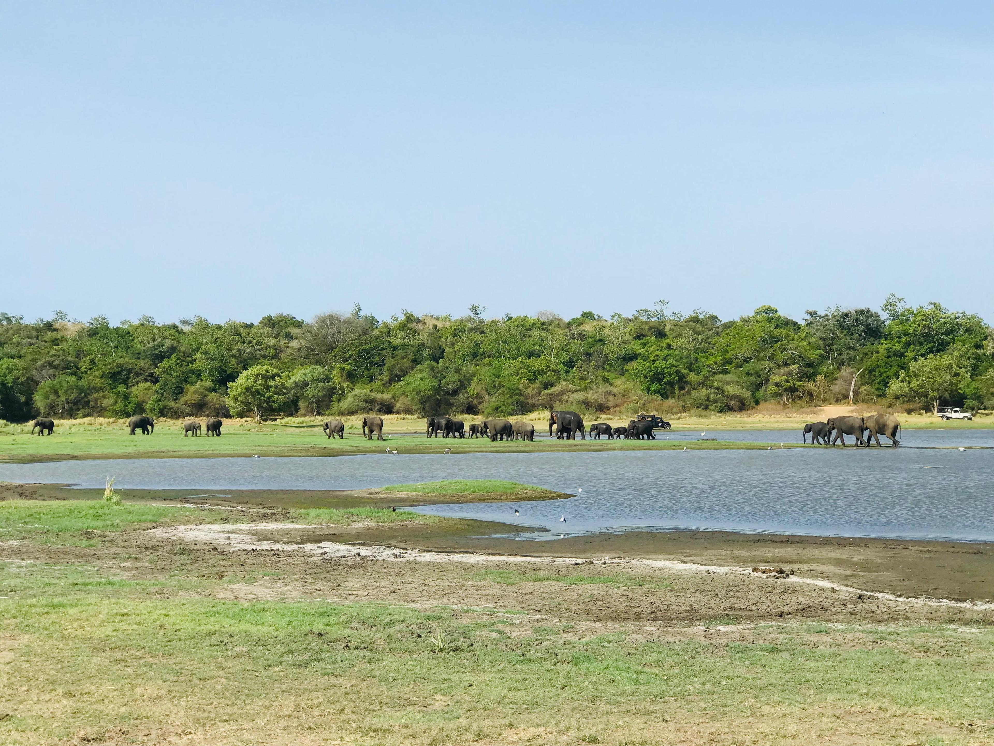 Book Your Sri Lanka Adventure